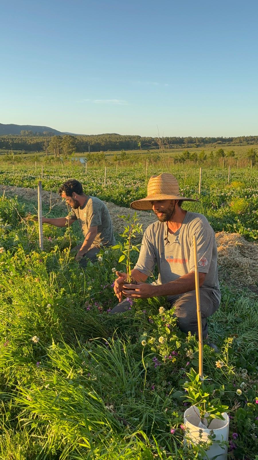 Dos personas trabajando juntas durante una jornada en la chacra