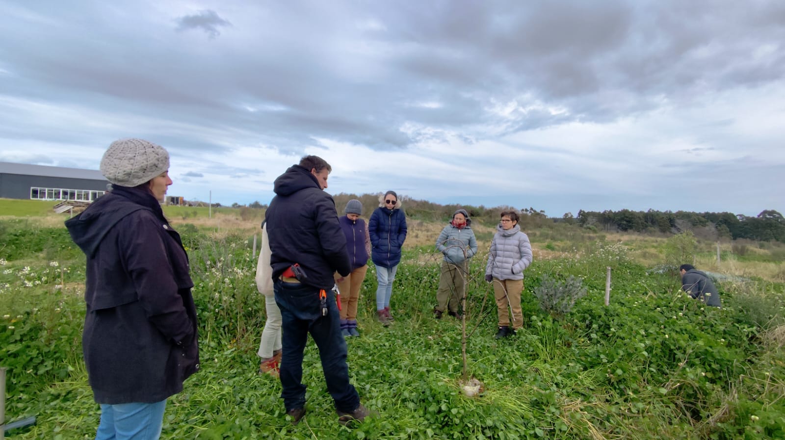 Recorrido guiado de un grupo adulto por los cultivos